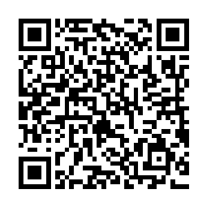 杨开此前就已经在花雨露交给自己的信息画面之中见过这扇大门二维码生成