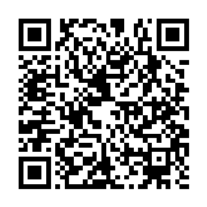 杨开清楚地感觉到自身小乾坤的底蕴也在疯狂流逝二维码生成