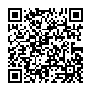 杨开甚至都有些怀疑她到底还是不是以前的那个蝶二维码生成