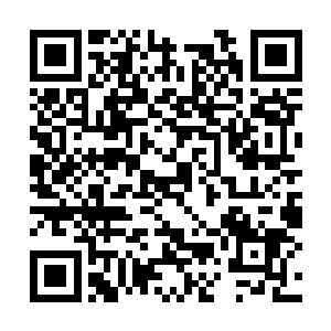 杨开目光在那最先走出来的二十多人身上一一扫过二维码生成