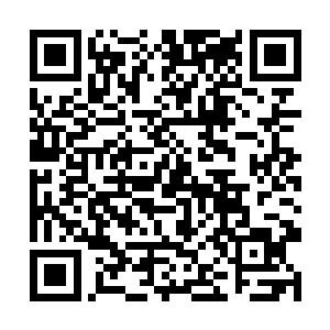 杨开看似神志不清的脸上陡然浮现出一抹狡黠的味道二维码生成