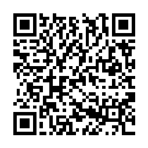 杨开看到一条藤蔓上挂着一串仿佛葡萄一般的果子二维码生成