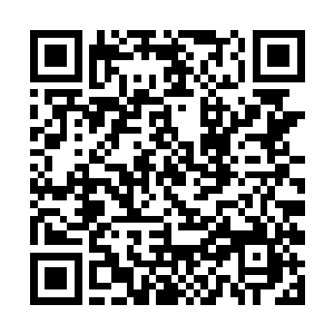 杨开知道龙殿的庇护之术一般都加持在某一片龙鳞上二维码生成