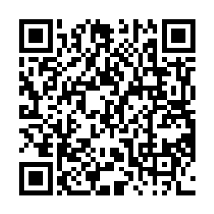 杨开立刻明白为什么连自己都没有查探到这里的情况了二维码生成