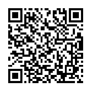 杨开笑嘻嘻地指着之前那一株被移植出来的龙血花道二维码生成