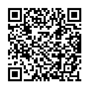 杨开还有闲心去观察一下花青丝和张若惜的情况二维码生成