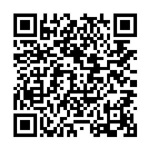 杨开这个时候若是借助整个龙殿的力量来对付他们二维码生成