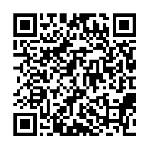 杨开这人为了自己的安全竟然这么轻而易举地抛弃了同伴二维码生成