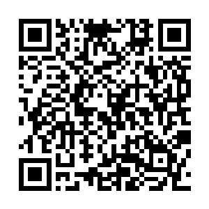 杨开这才发现自己好像身处在一个看着有些眼熟的大殿之内二维码生成
