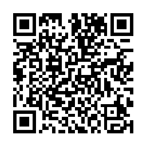 杨开连二品开天晋升的时都赐下天元正印丹辅助的话二维码生成