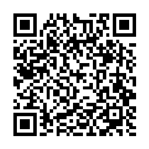 杨开连忙将带有善意和安抚的神念灌入那神树之心中二维码生成