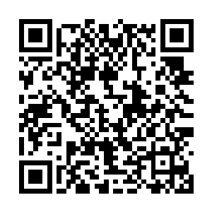 杨彦少爷和冯霄少爷实力……肯定不会得罪它们的二维码生成