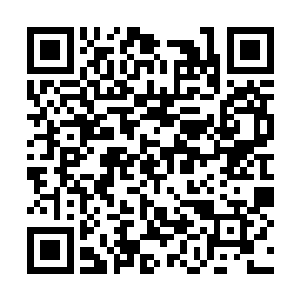杨影儿的修为可以说只能够用一个一日千里来形容二维码生成
