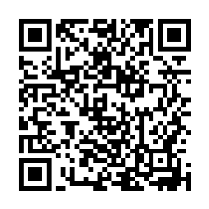 杨慧杨宁虽然不知道叶楚为什么突然神情惊慌带着她们逃离二维码生成