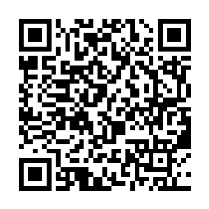 杨戬不知道为什么心中根本就没有丝毫的闪躲的念头二维码生成