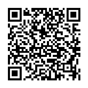 杨戬两个人一路不紧不慢的朝着城外的方向走着二维码生成