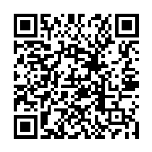 杨戬也感受到一股股恐怖的澎湃的能量波动从里面传出二维码生成