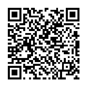 杨戬也根本就没有听说过所谓的主神丹级别的丹药二维码生成
