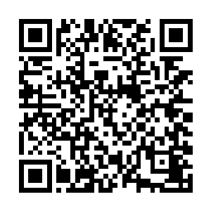 杨戬也没有绝对的把握安然无恙的通过五彩色的光幕二维码生成