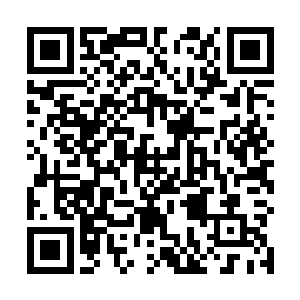 杨戬就感受到一股股强大的能量从山谷的各个角落传出二维码生成