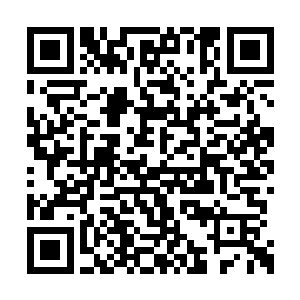 杨戬就直接通过万毒珠将万毒寂灭大阵暂时关闭二维码生成