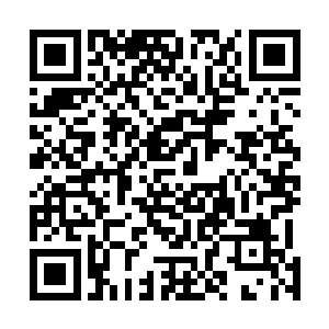 杨戬忽然感受到一股十分晦涩的能量波动从上面散发出来二维码生成