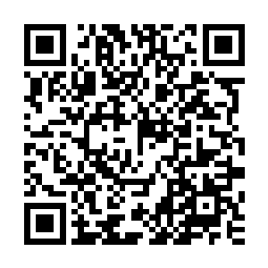 杨戬扫视了一眼丹青拿出的药材之后顿时心中也是一阵的感慨二维码生成