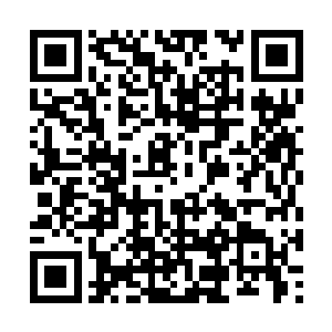 杨戬的目光则开始仔细的扫视着周围的每一寸土地二维码生成