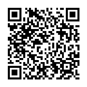 杨戬的脸上顿时也是露出了一抹淡淡的笑容开口道二维码生成