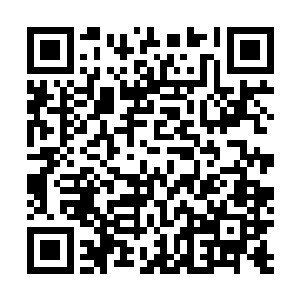 杨戬跟鬼谷子两个人可是无时不刻不在为宗门的大阵奔波二维码生成