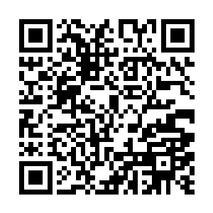 杨戬闭关还有一个重要的原因那就是解决袁鸿的问题二维码生成