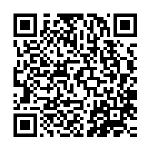 杨戬顿时也猜到了眼前的老者显然就是杨家的神武境界的高手了二维码生成