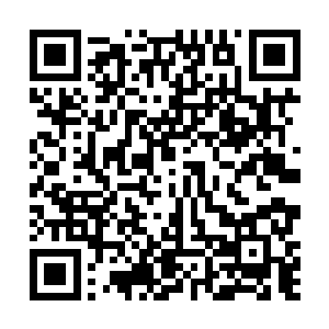 杨文民无意提起新招聘的公司文员里有个早拿了驾照的二维码生成