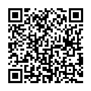 杨昆这小子跟杨家嫡系的某个小姐的关系还很不错……甚至于二维码生成