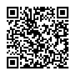 杨明治的辉煌在一次战争中机甲团团灭之后终结二维码生成