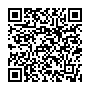 杨晓芸吃惊的看着自己和麒麟之间的距离越来越近二维码生成