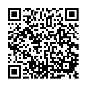 杨晓芸在孙子轩冲天而起的时候就已经恢复了对身体的控制二维码生成