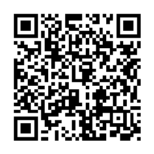 杨晓芸的声音又恢复了那种让人难以忍受的声音二维码生成