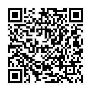 杨晨从储物袋中取出了几株灵药放下李管事的面前二维码生成