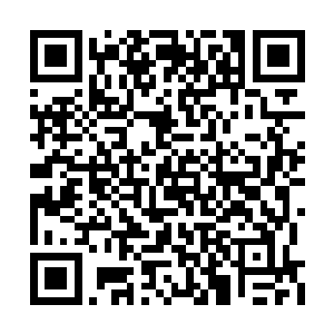 杨晨便和林落还有小猴子一起再次朝前方出发了二维码生成