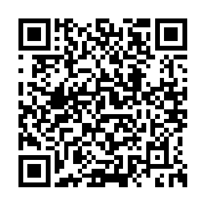 杨晨便能感觉到从这朱颜木上散而出的阵阵玄气二维码生成