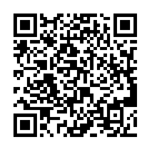 杨晨几乎忍不住要伸出手来用力的捏捏她的小脸蛋了二维码生成