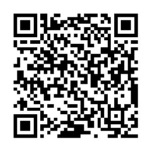 杨晨可是偷偷下了一个用于追踪的粒子方程附着在这镜子上面的二维码生成