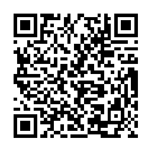 杨晨和羽向来都不是那种喜欢占着茅坑不拉屎的人二维码生成