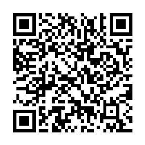 杨晨在一翻斟酌之后选择了五种比较珍惜的灵草药二维码生成