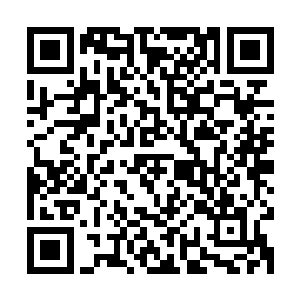 杨晨将自己的意识或者说神念跟着丝丝缕缕的天地元气运行流转二维码生成