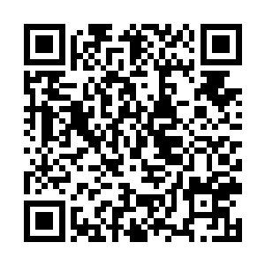 杨晨就面的墙壁被投影仪投射出一副生动绚烂的图景二维码生成