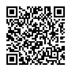 杨晨心中想道们同事将自己的神识都紧紧收敛在体内二维码生成