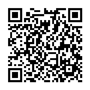 杨晨心想你这小家伙不也是刚刚出生不到一天吗二维码生成