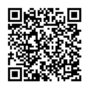 杨晨的心情非常愉快的看着下方精彩绝伦的表演二维码生成